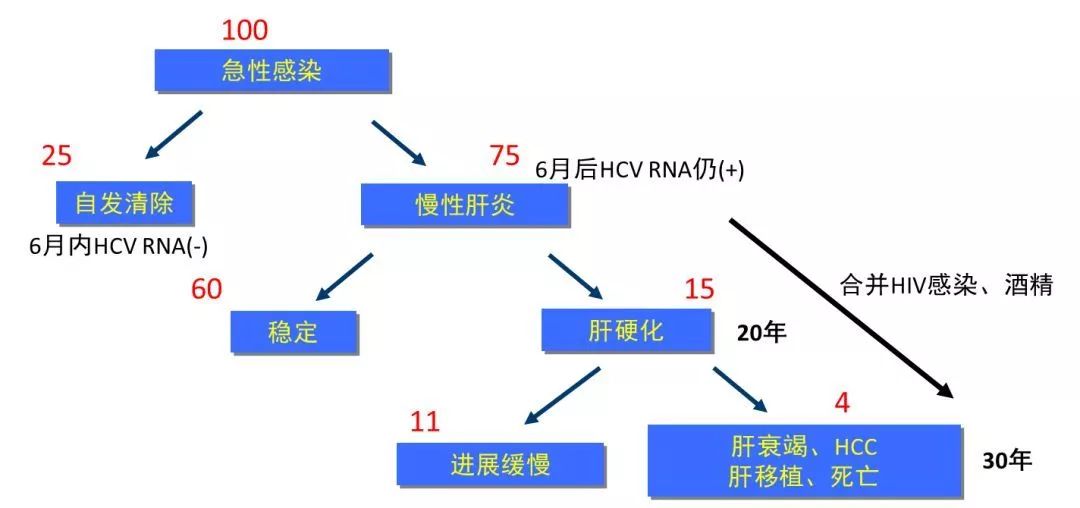 丙肝檢測的弱陽性究竟是不是感染了丙肝？